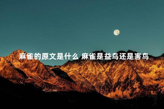麻雀的原文是什么 麻雀是益鸟还是害鸟